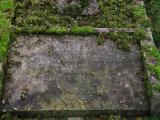 image of grave number 913516